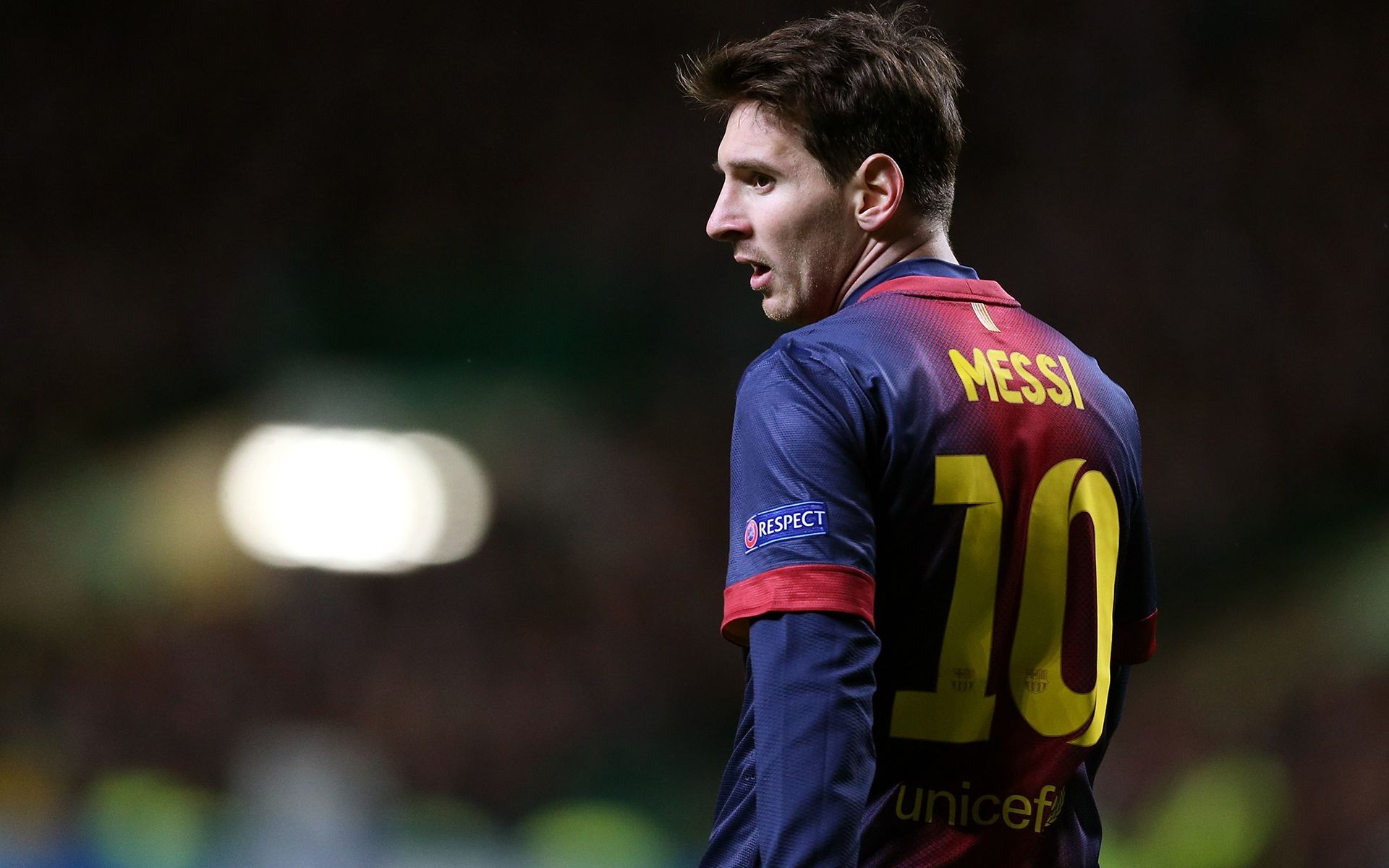 在篮网队中 在篮网队中