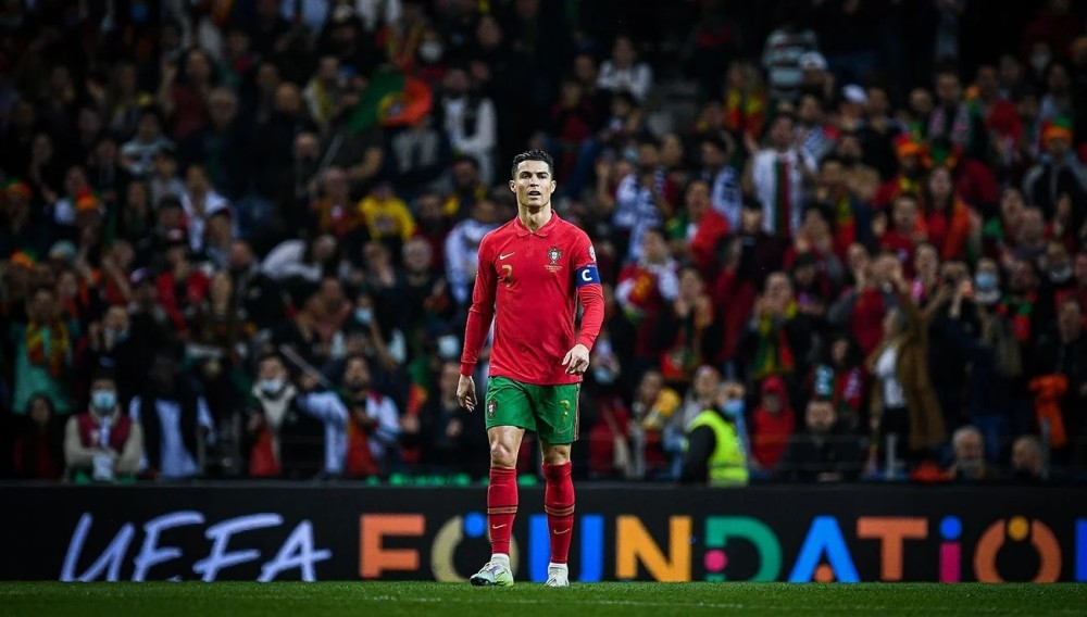 已经是一份 已经是一份